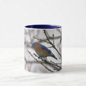 Bluebird Nature Lover Bird Lover Winter Tasse (Zentrum)