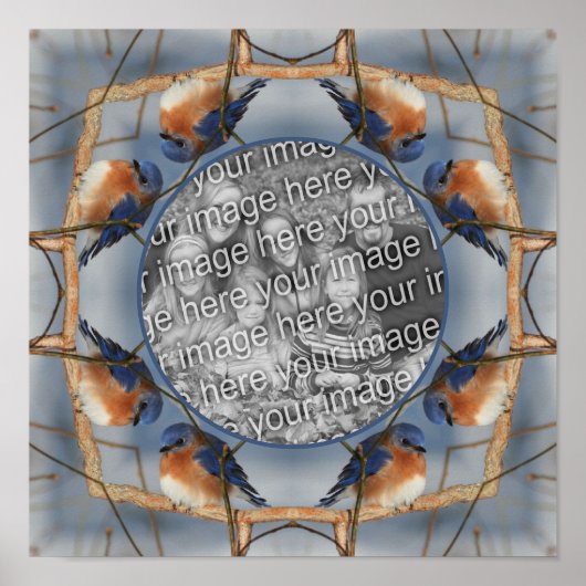 Bluebird Naturrahmen erstellen Sie Ihr eigenes Fot Poster (Vorne)