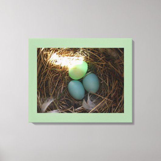 Bluebird Nest & Eggs Leinwanddruck (Vorderseite)
