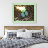 Bluebird Nest & Eggs Leinwanddruck (Insitu (Schlafzimmer))