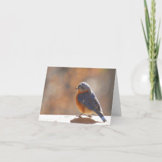 Bluebird Notecard - Blank Inside Dankeskarte