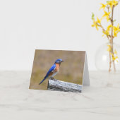 Bluebird Notecard Karte (Gelbe Blume)