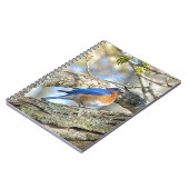 Bluebird Notizblock (Linke Seite)