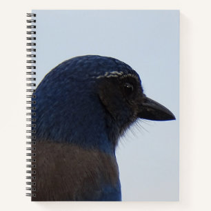 Bluebird Notizblock