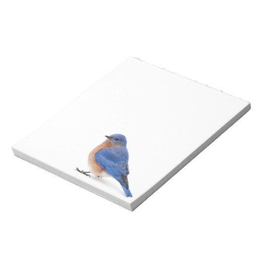 Bluebird Notizblock (Rotiert)