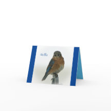 Bluebird of Happiness Card