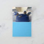 Bluebird of Happiness Card Karte (Innenseite)