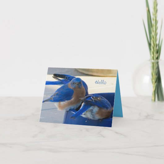 Bluebird of Happiness Card Karte (Vorderseite)