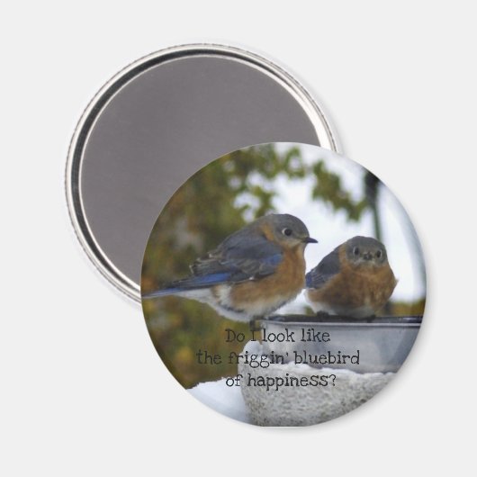 Bluebird of Happiness Comical Magnet (Vorderseite/Rückseite)