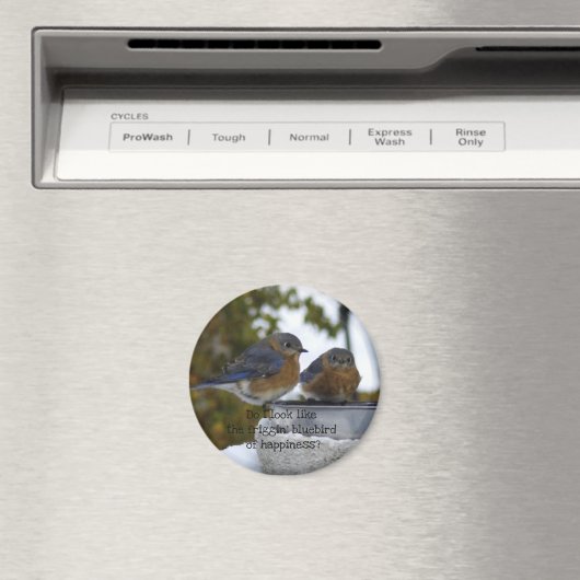 Bluebird of Happiness Comical Magnet (In Situ (Geschirrspüler))