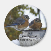 Bluebird of Happiness Comical Magnet (Vorne)