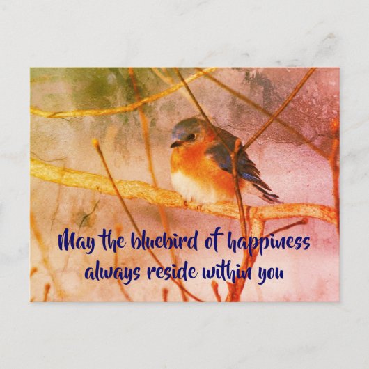 Bluebird of Happiness Nature Art Postcard Postkarte (Vorderseite)