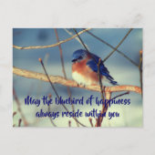 Bluebird of Happiness Nature Postcard Postkarte (Vorderseite)