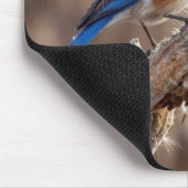 Bluebird on a Milkweed Pod Mousepad (Ecke)
