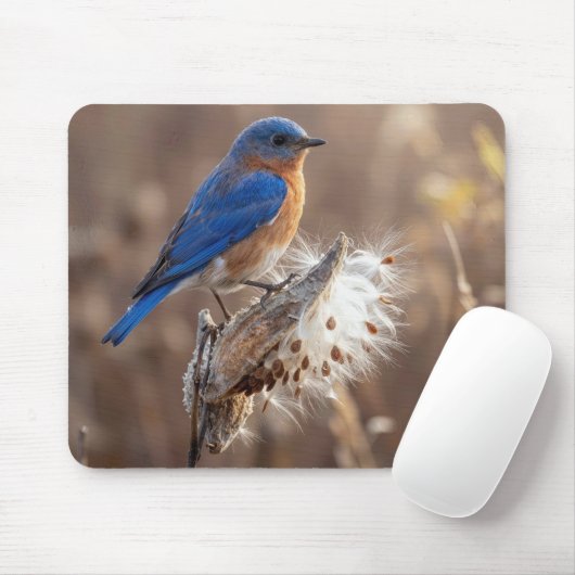 Bluebird on a Milkweed Pod Mousepad (Mit Mouse)