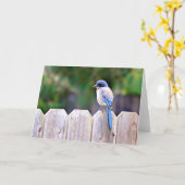 Bluebird on Fence Scripture Card Psalm 91:2 Karte (Gelbe Blume)