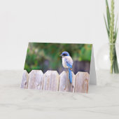 Bluebird on Fence Scripture Card Psalm 91:2 Karte (Vorderseite)