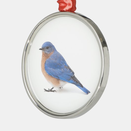 Bluebird Ornament Aus Metall (Links)
