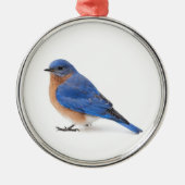Bluebird Ornament Aus Metall (Vorne)