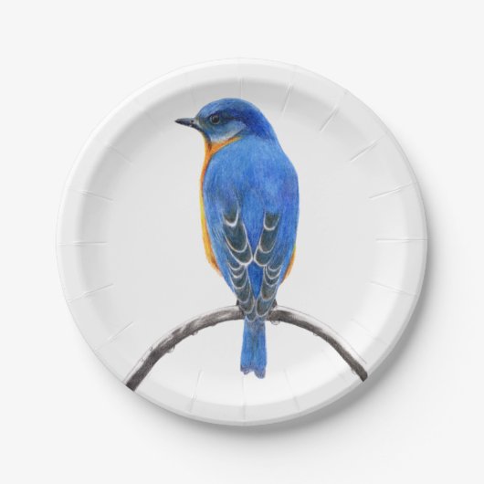 Bluebird Pappteller (Vorderseite)