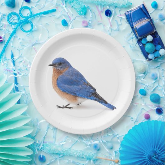 Bluebird Pappteller (Party)