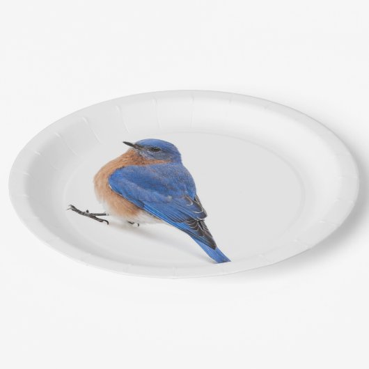 Bluebird Pappteller (Schrägansicht)