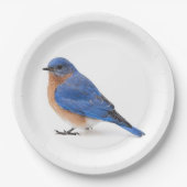 Bluebird Pappteller (Vorderseite)