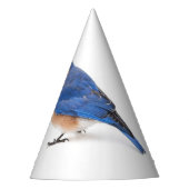 Bluebird Partyhütchen (Vorderseite)