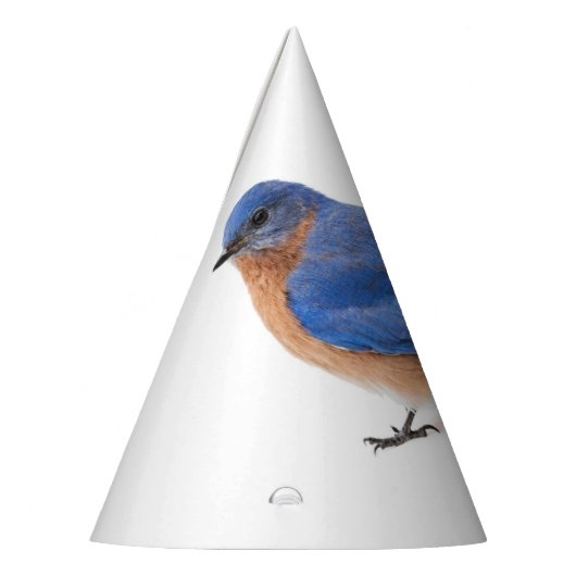 Bluebird Partyhütchen (Links)