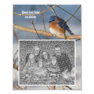 Bluebird Personalisiert Erstellen Sie Ihre eigenen Fotodruck