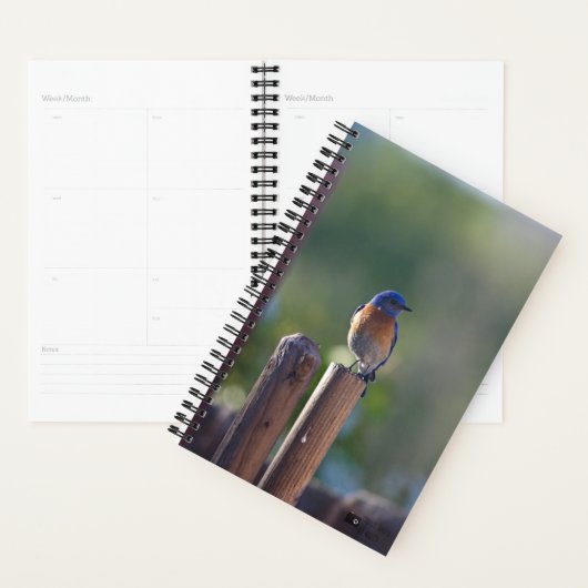 Bluebird Planner Planer (Anzeige)