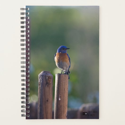 Bluebird Planner Planer (Vorderseite)