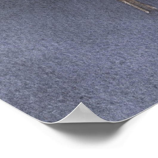 Bluebird Poster Print (Ecke)