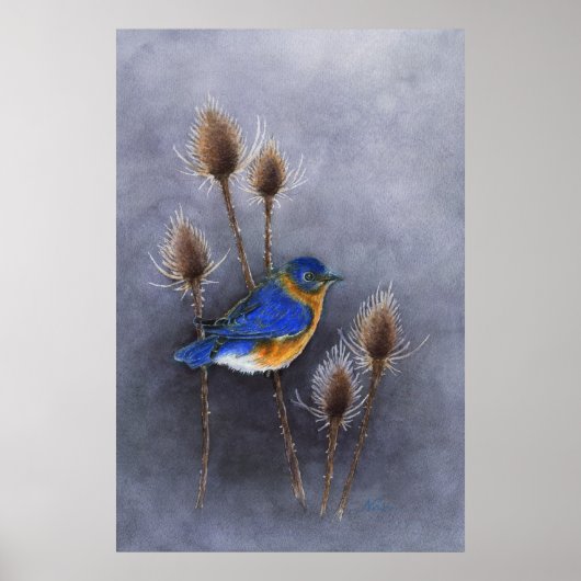 Bluebird Poster Print (Vorne)