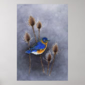 Bluebird Poster Print (Vorne)