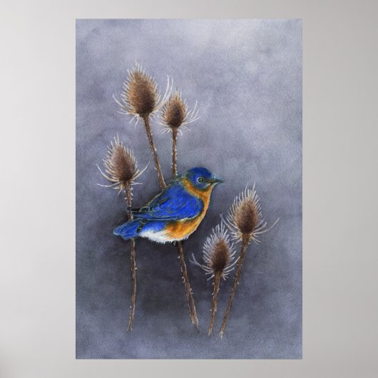 Bluebird Poster Print (Vorne)