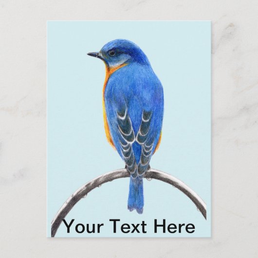 Bluebird Postkarte (Vorderseite)