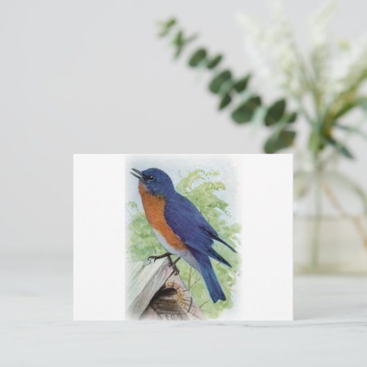 Bluebird Postkarte (Stehend Vorderseite)