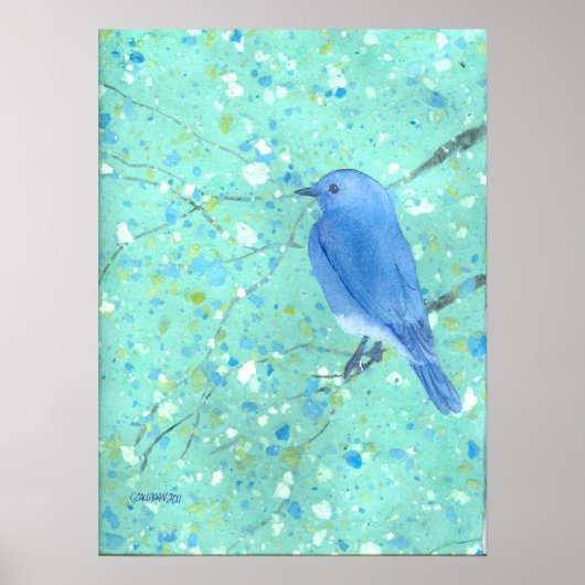 Bluebird-Print Poster (Vorne)