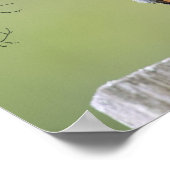 Bluebird-Provider Poster (Ecke)