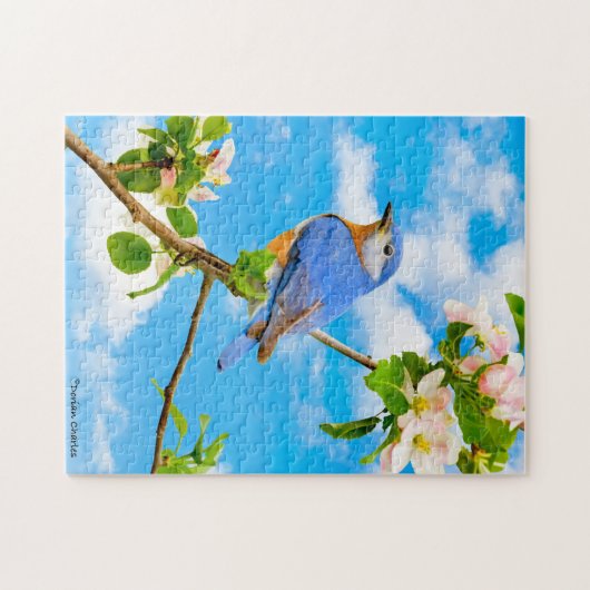 "Bluebird" Puzzle (Horizontal)