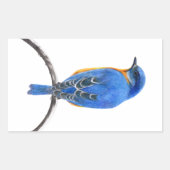 Bluebird Rechteckiger Aufkleber (Vorderseite)