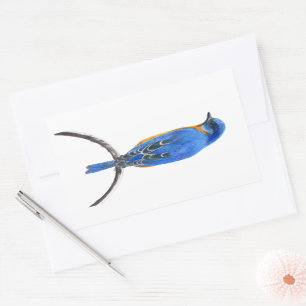 Bluebird Rechteckiger Aufkleber