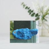 Bluebird Rock Postkarte (Stehend Vorderseite)