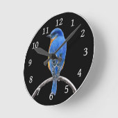 Bluebird Runde Wanduhr (Winkel)