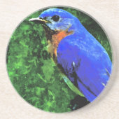 Bluebird Sandstein Untersetzer (Vorne)