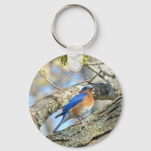 Bluebird Schlüsselanhänger