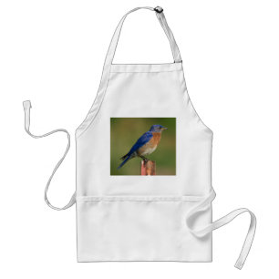 Bluebird Schürze