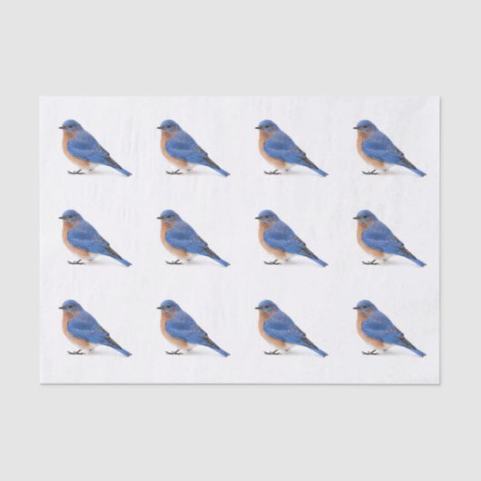 Bluebird Seidenpapier (Vorderseite)