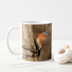 Bluebird, Seitenblicke Kaffeetasse